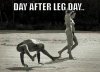 Leg.jpg
