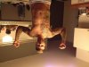 freeletics 2 wo.jpg