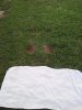 20130804_203556.jpg
