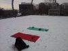 20141230_150837.jpg