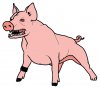 Schweinehund.jpg