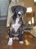 IMG-20160322-WA0000.jpg