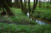 Am Bach.jpg