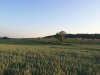 IMG_3424.jpg
