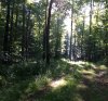 IMG_3484.jpg